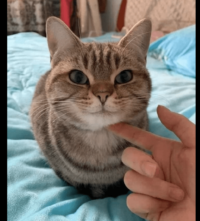 Maarit Tuohimaa tweet media