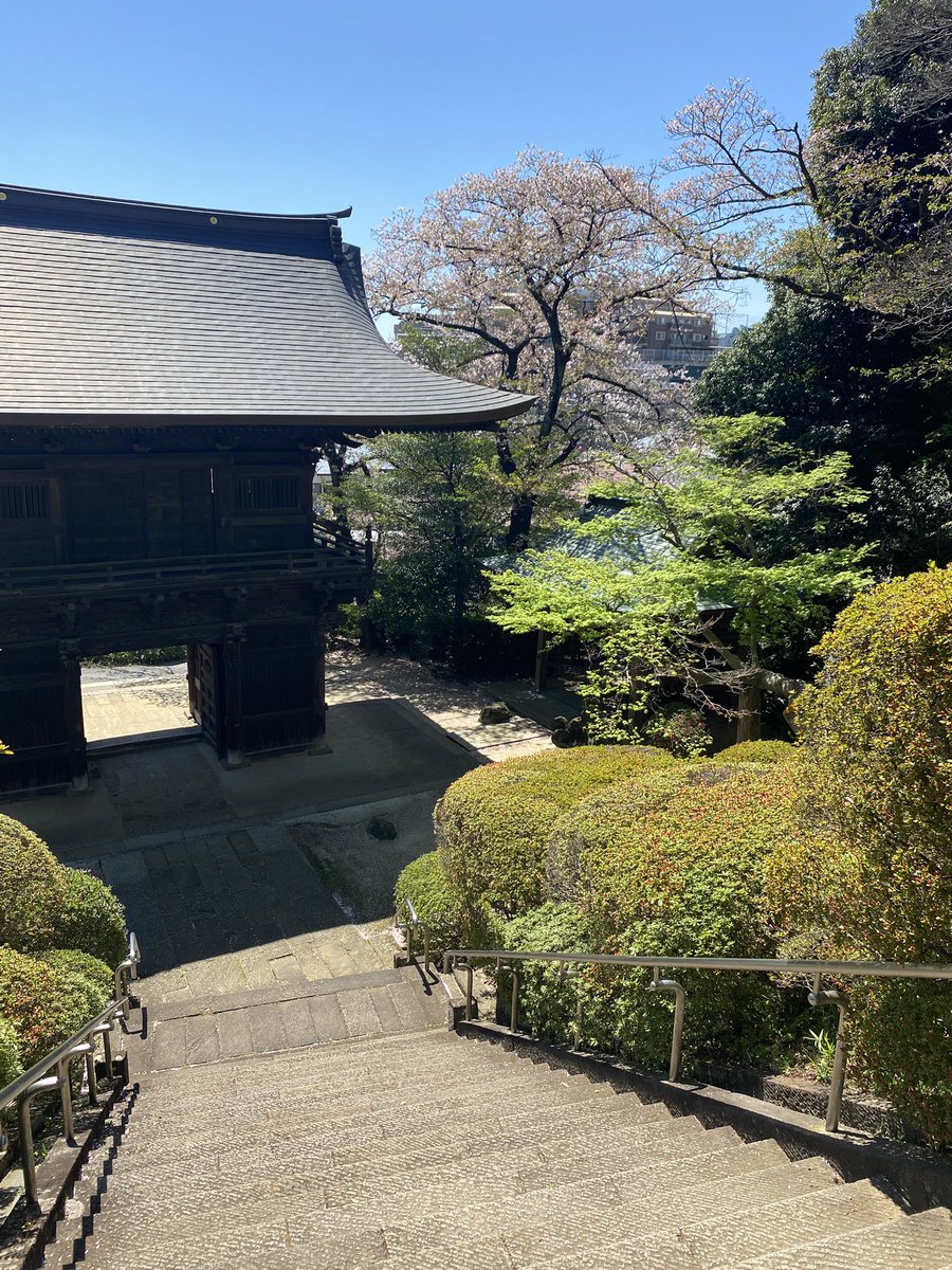 本日はこちらです！
いい陽気。