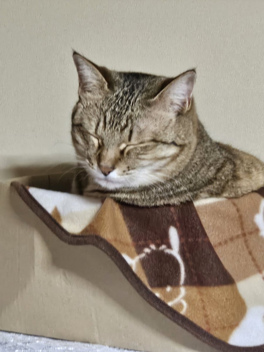 海老原 耕@IRIAM準備中 tweet media