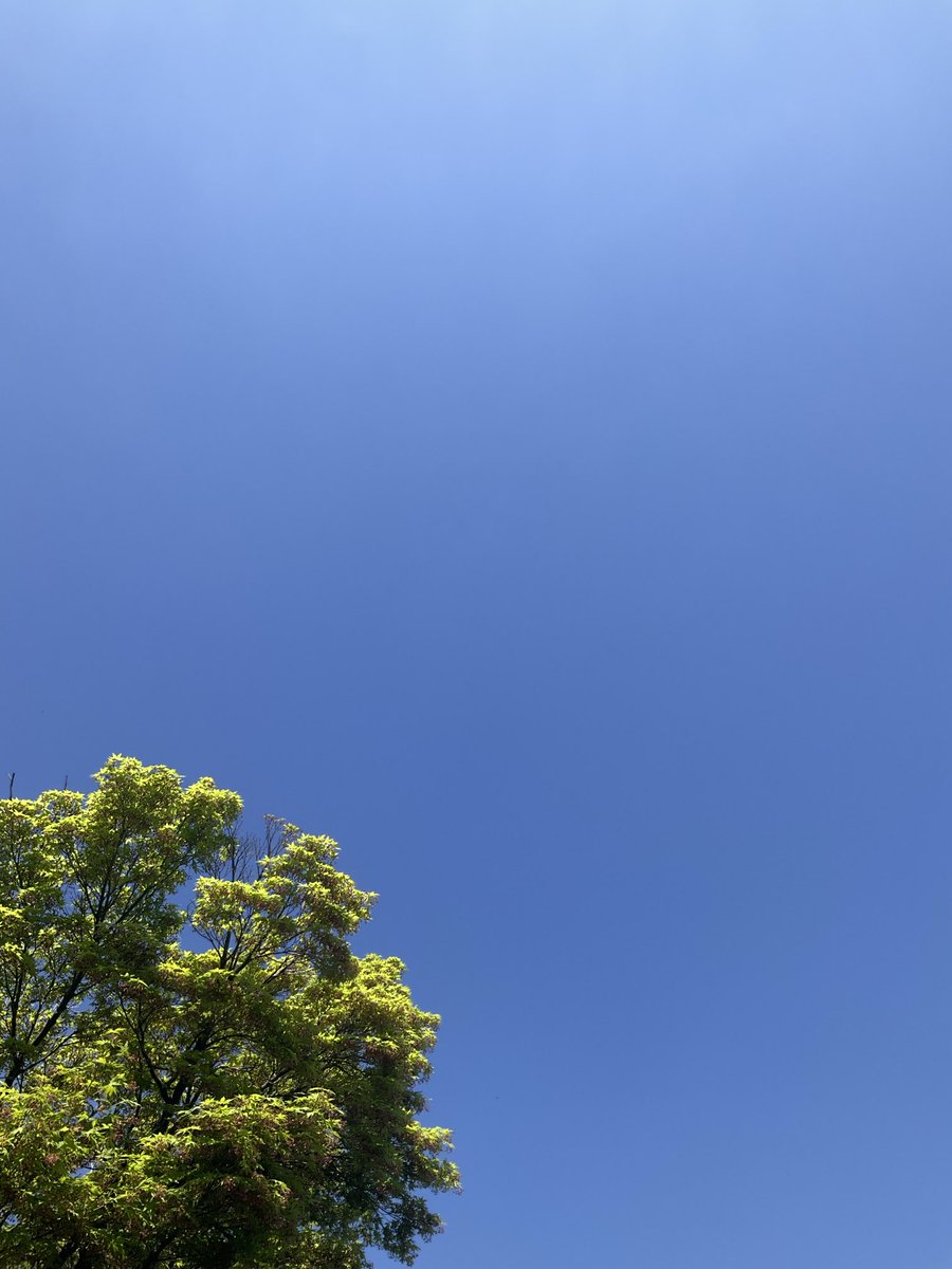 雲ひとつない青空ー！