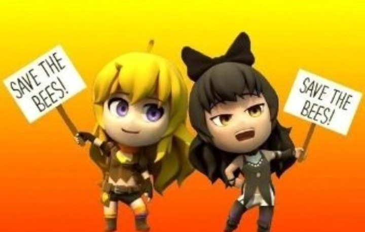 YangXiaoLong tweet media