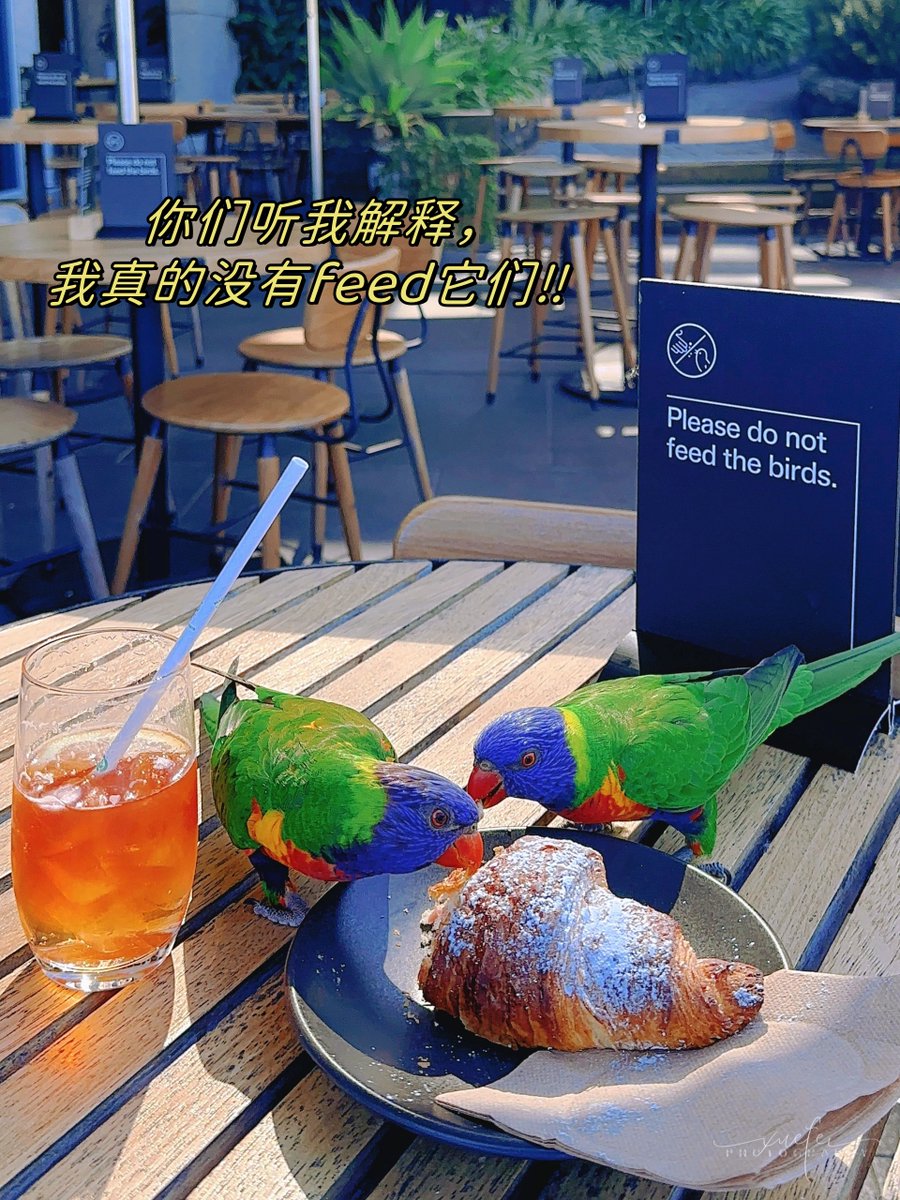 Brigitte E. Cavanaug tweet media