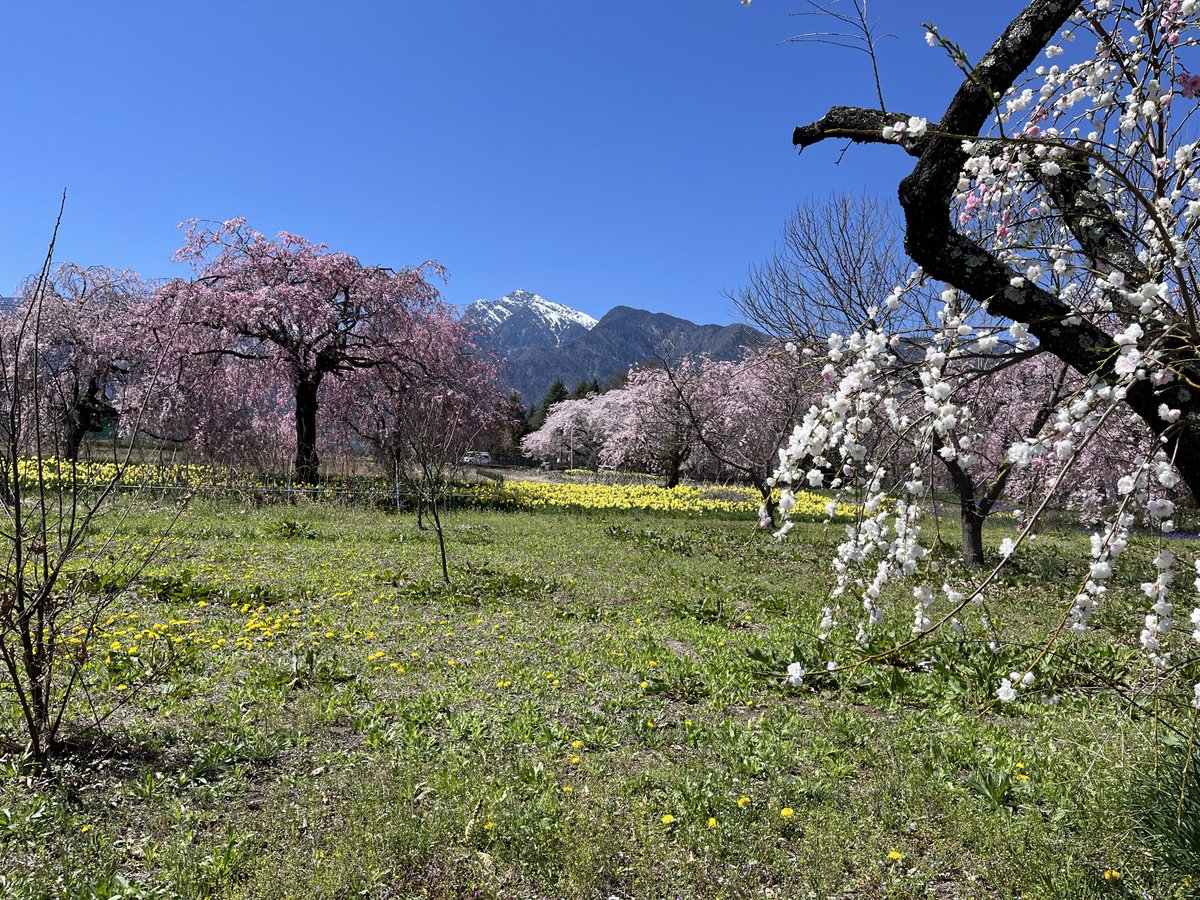 はらぺこはっち|自然派子育てママのたまご屋さん (@harapekohatti) on Twitter photo 