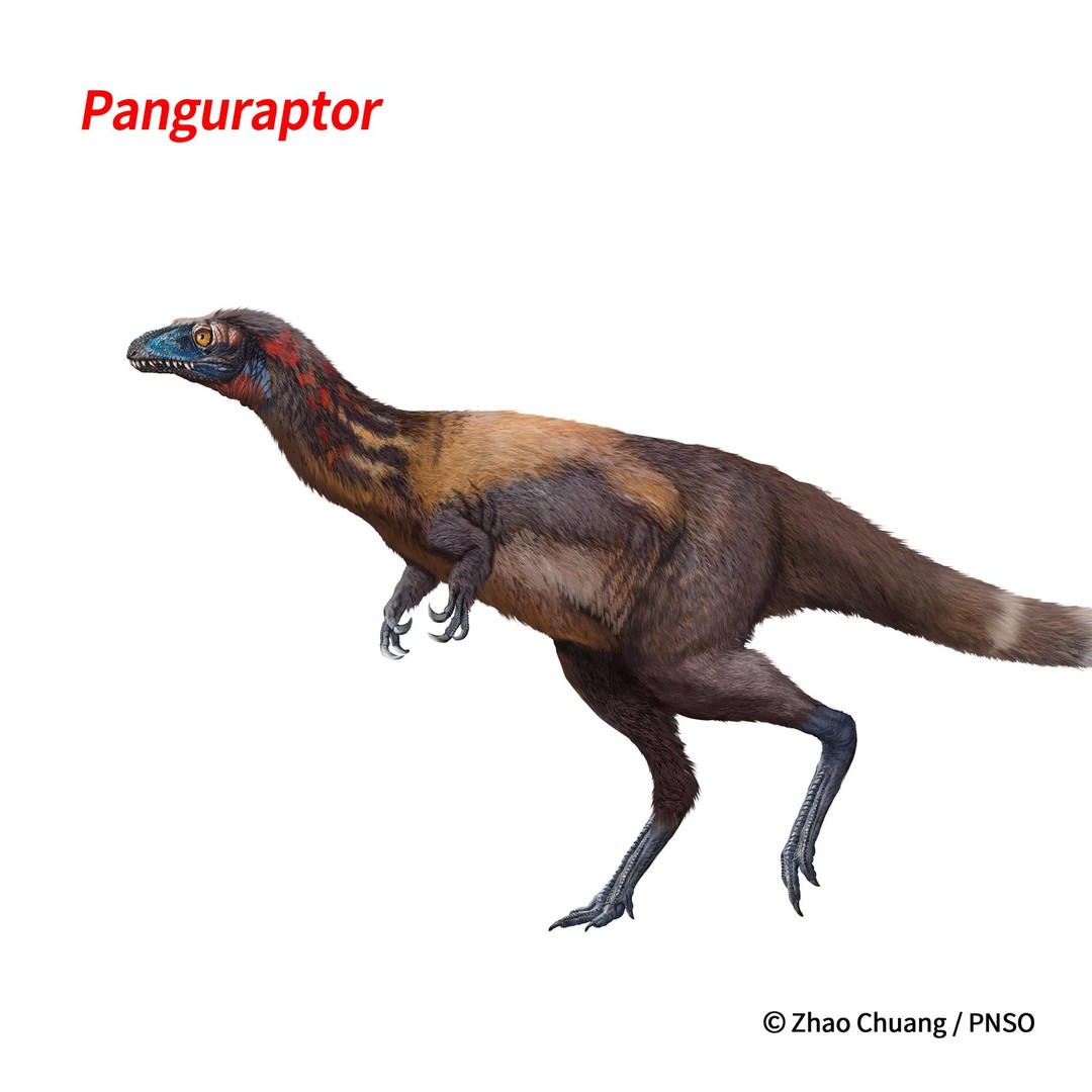 🖤 { Spookyonyx } 🖤 tweet media