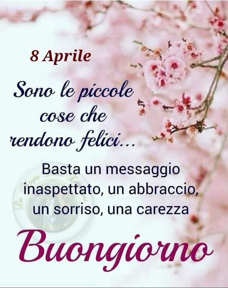 Pacchitto tweet media