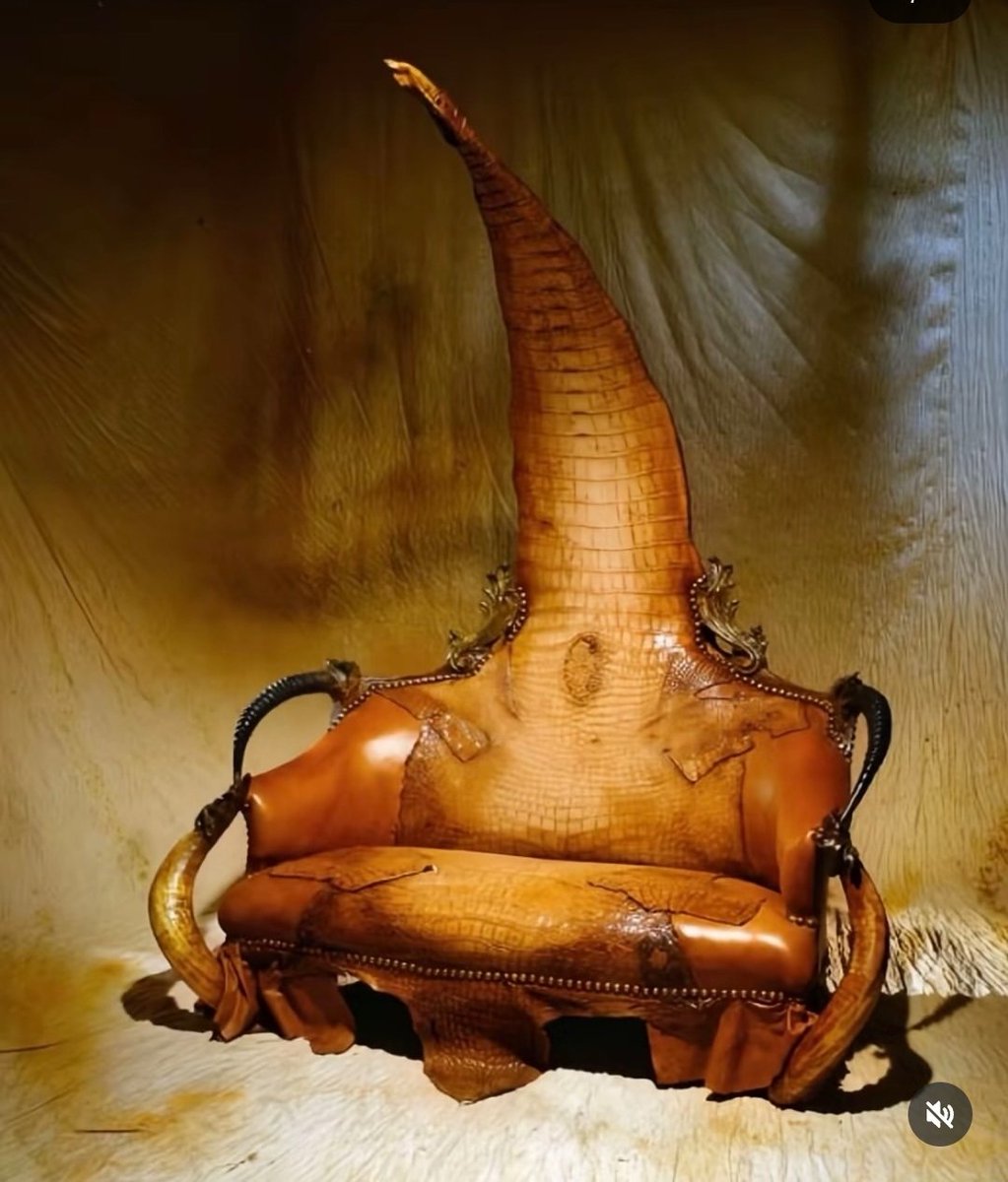 Kairo_Anatomika's tweet photo. I saw a article on Taxidermy furniture, and was surprised that in all of the furniture made from alligator skin, the animal's cloaca (the anal/genital opening) was prominently featured.

I wondered if this was some sort furniture design norm and looked into it.

It turns out that all of these pieces are the works of a single artist. That simultaneously explains everything but also nothing at all.