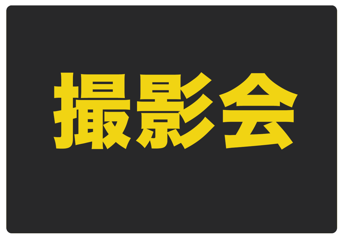 アイアイタイガー(あいてぃが)公式 tweet media