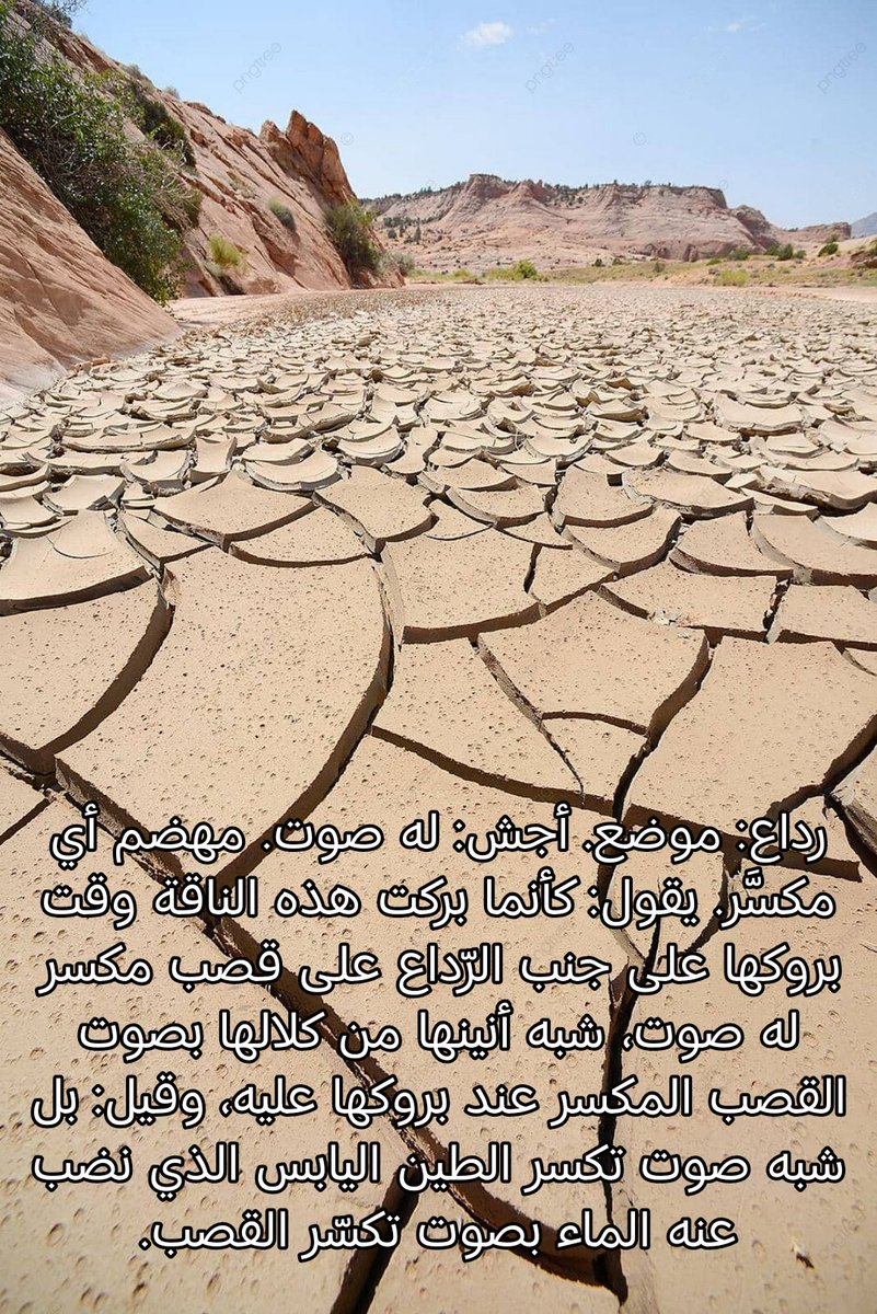 رعد مغدق 🏳️ tweet media