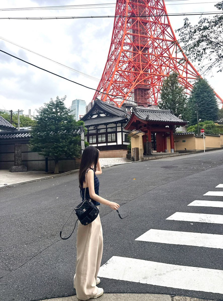 佳奈 (@whitefalcon6) / Posts / X