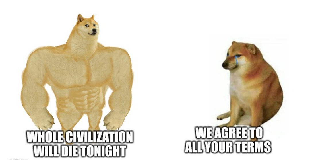 Anastasiya Paraskevova tweet media