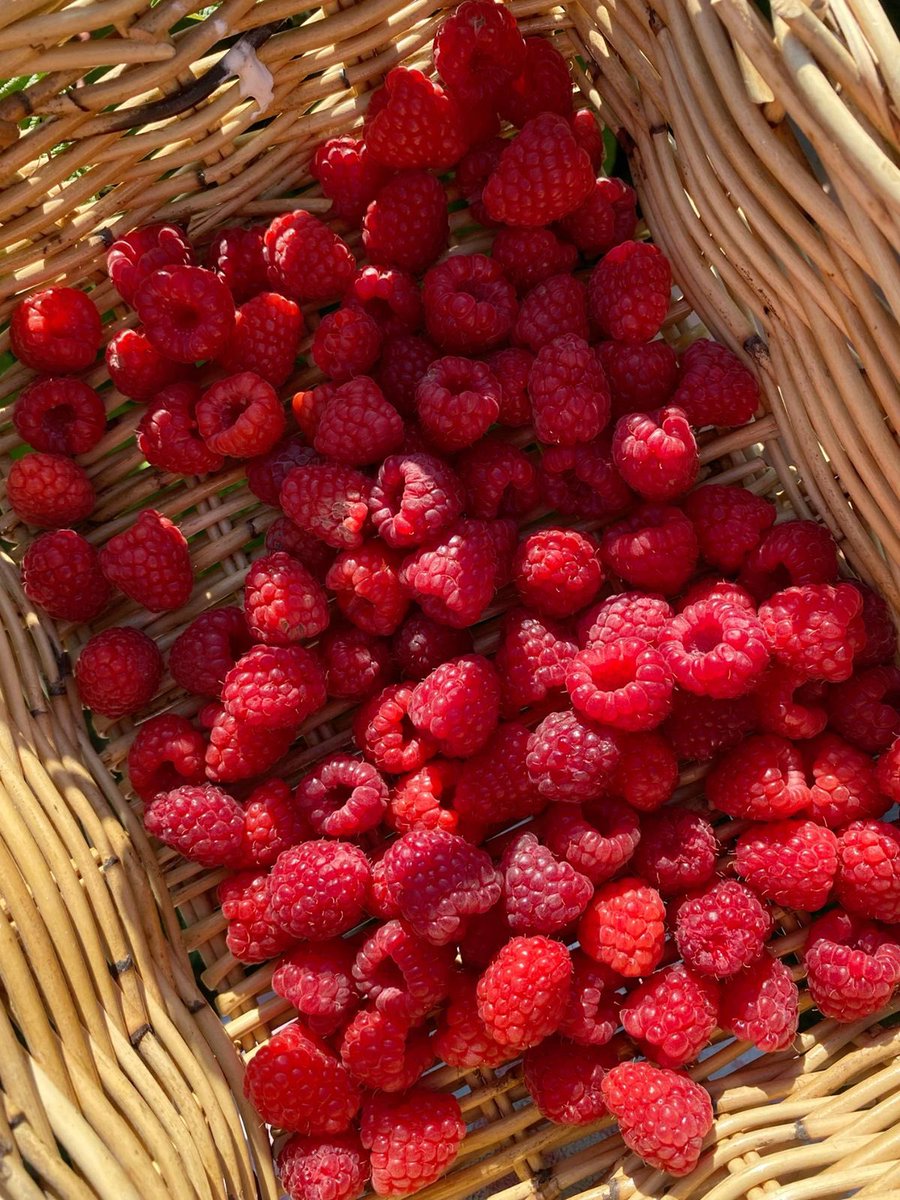 jordi 𝜗𝜚 enhypen is seven tweet media