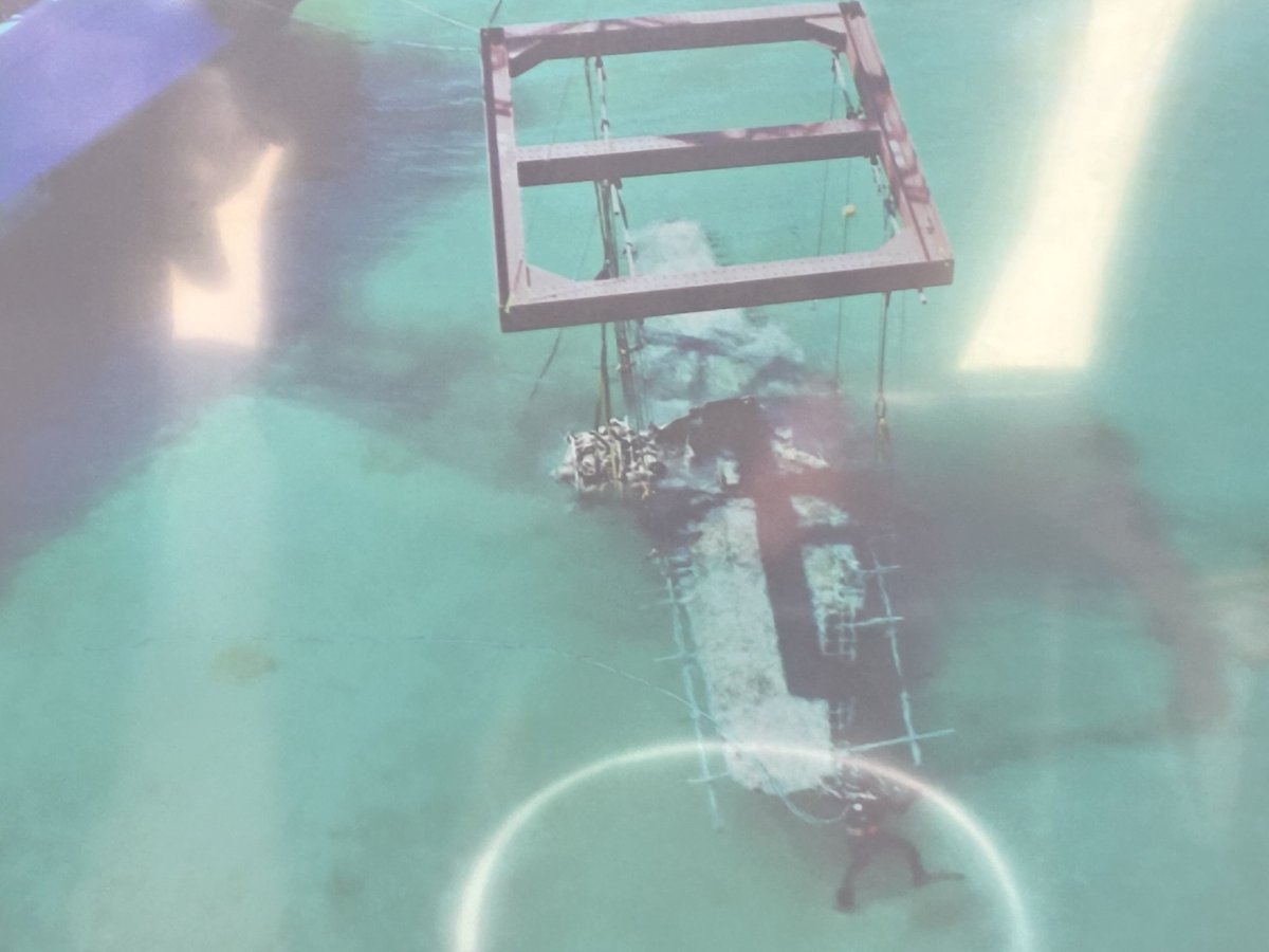 カオル tweet media