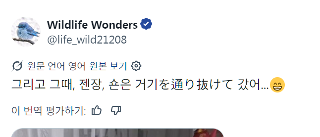 도마뱀 tweet media