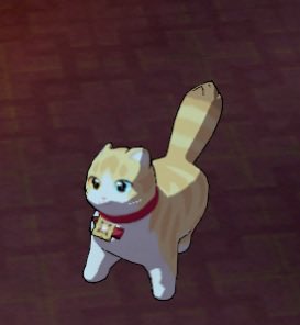 카티야랑 tweet media