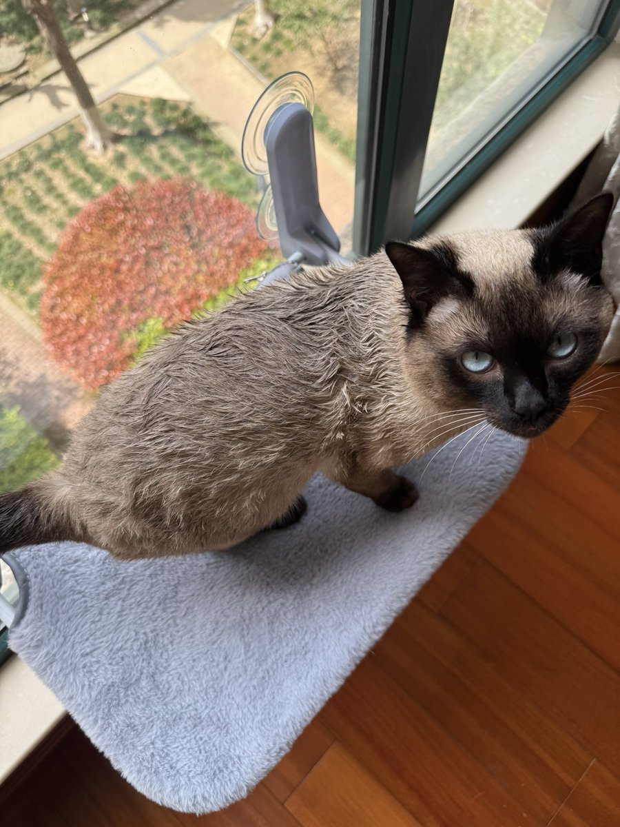 Aaa建材王哥 tweet media