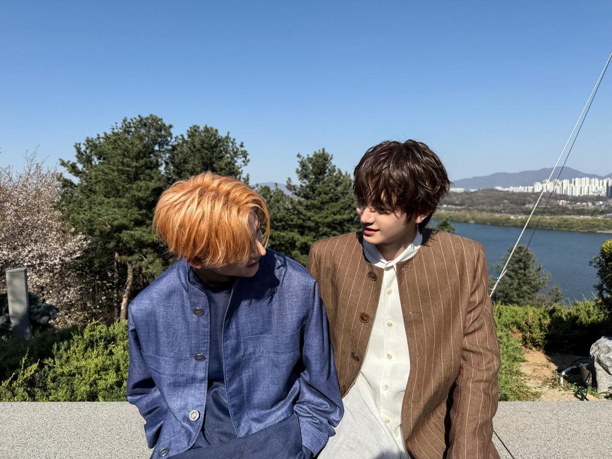 톨 tweet media