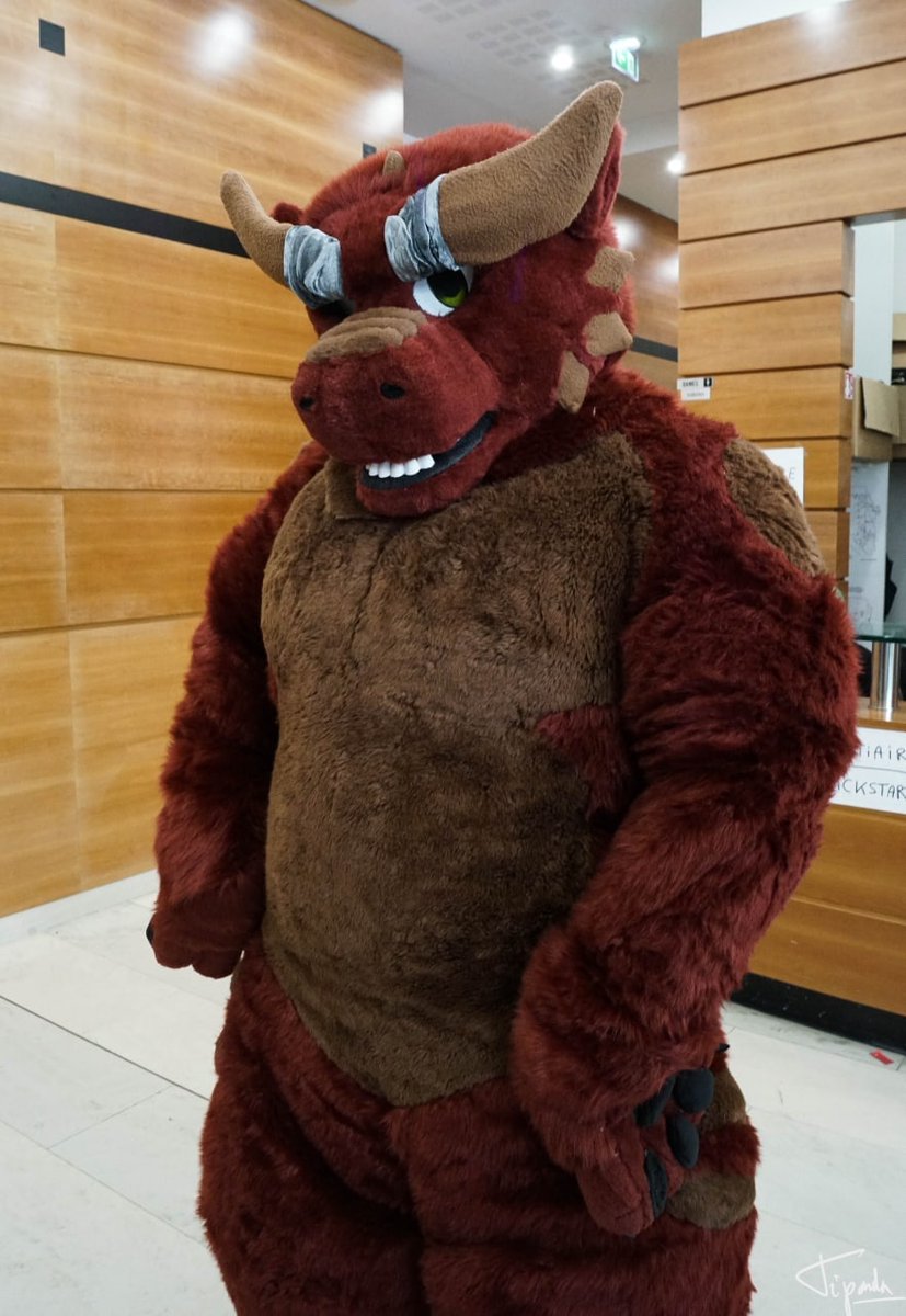 King Size Bed tweet media