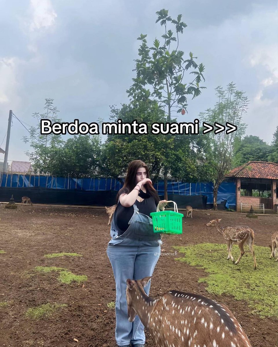 BELL🚫 tweet media