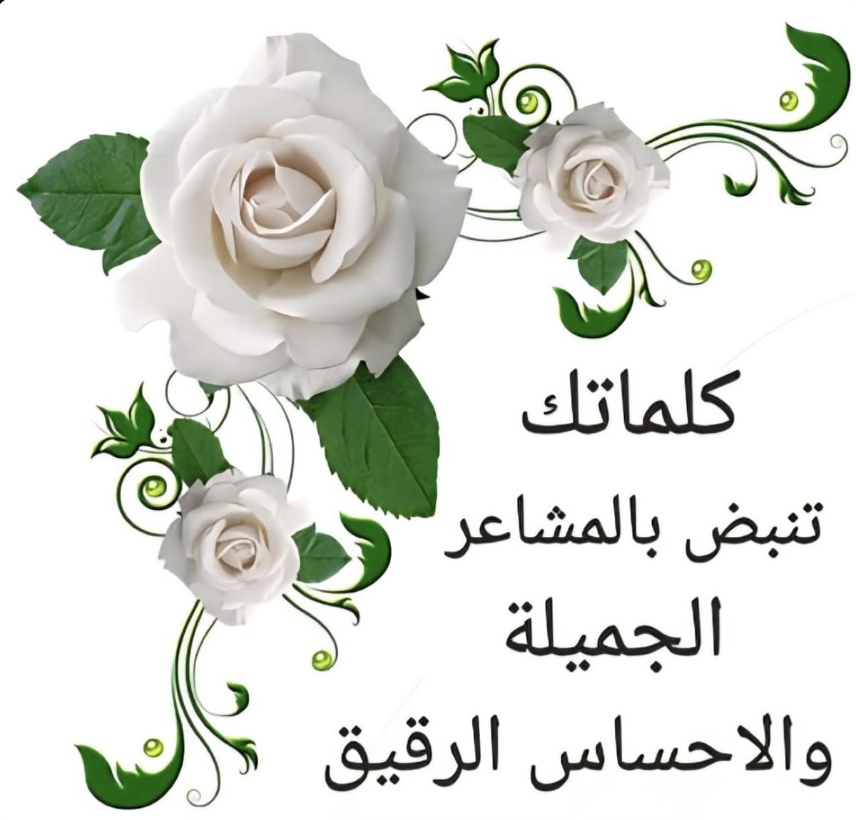 أبو عبدالله🇸🇦 tweet media