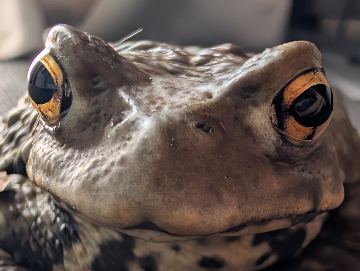 確定申告 tweet media