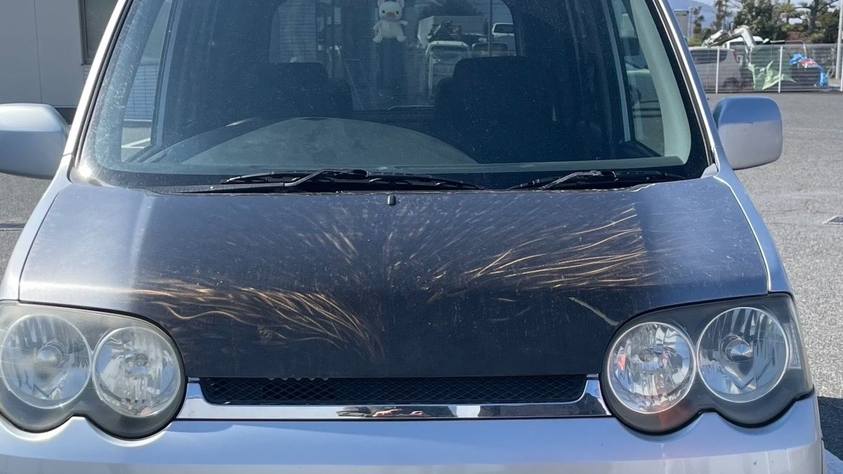 🥤し_ tweet media