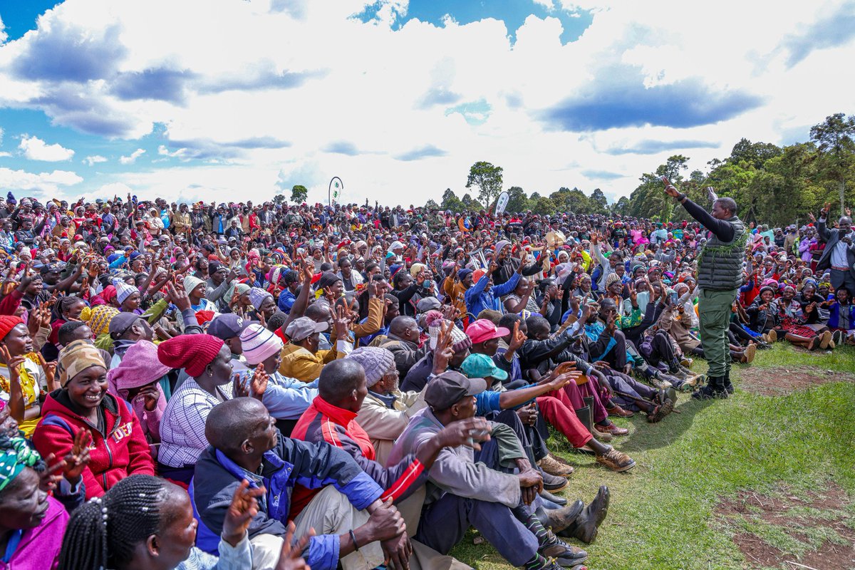 MauForestComplex_iclip tweet media