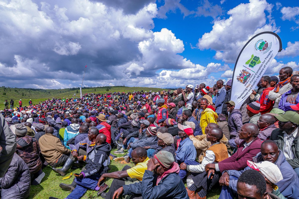 MauForestComplex_iclip tweet media