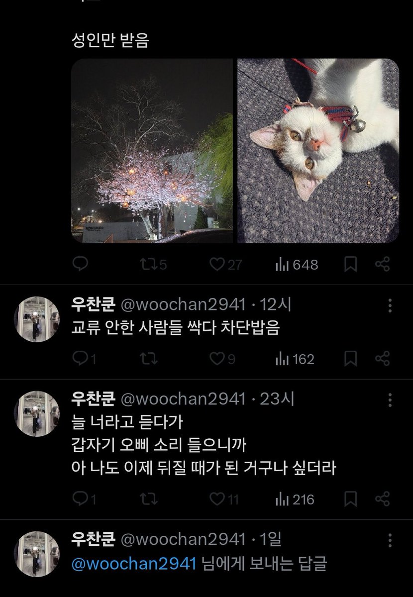 메루냐 tweet media