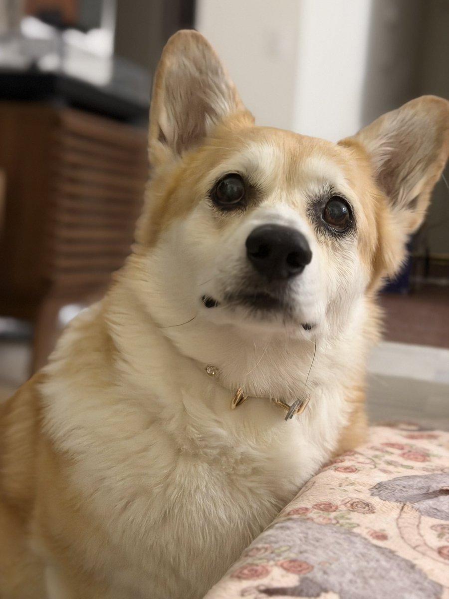 캡틴 일기 tweet media