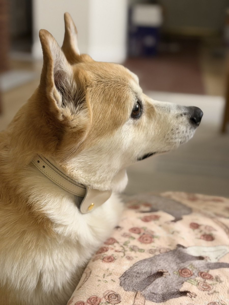 캡틴 일기 tweet media