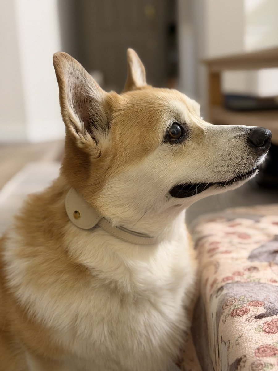 캡틴 일기 tweet media