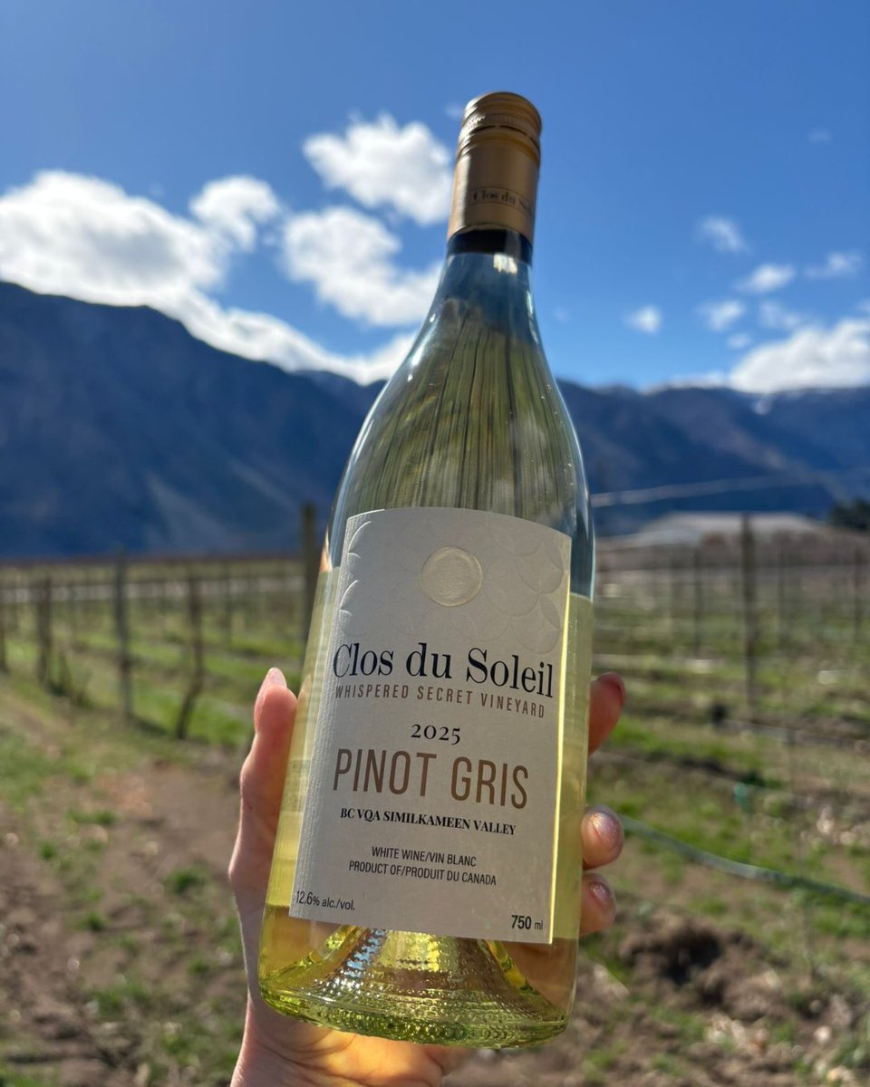 ClosduSoleil's tweet image. It’s #BCWineMonth! Time to wander: your backyard, across the lake, over the mountain. No passport needed, just a love for BC wine &amp;amp; beautiful views. We’re celebrating with the release of 2025 #closdusoleil Fumé Blanc &amp;amp; Pinot Gris. What’s in your glass?
#BCWine #Similkameenwine