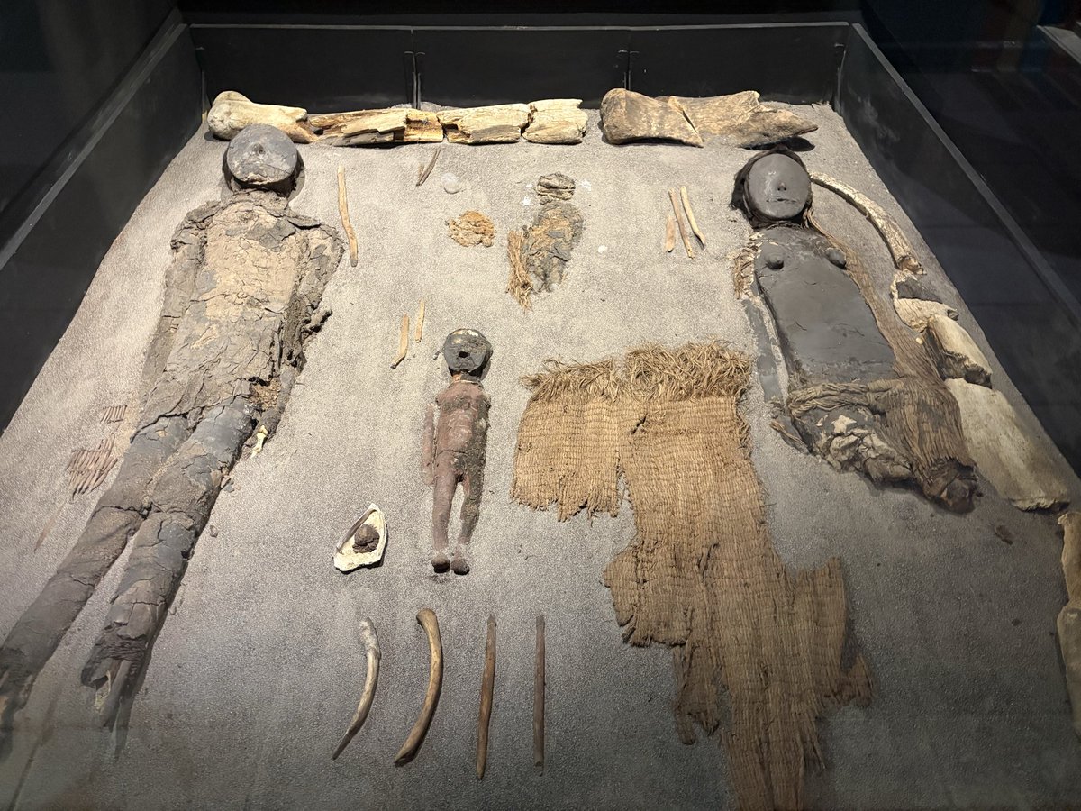 DomTulett's tweet photo. The world’s oldest mummies, a giant spider visible only from the sky, an earthquake that nearly tipped me out of bed, and watching the Artemis launch with astronomers from the SETI Institute. It’s been a trip @TravWriters #Chile #Peru https://t.co/WBV3bv1kVf
