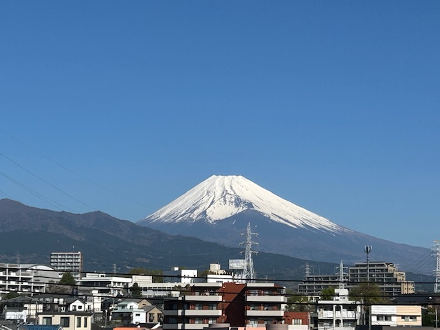 mishimaekimae tweet media