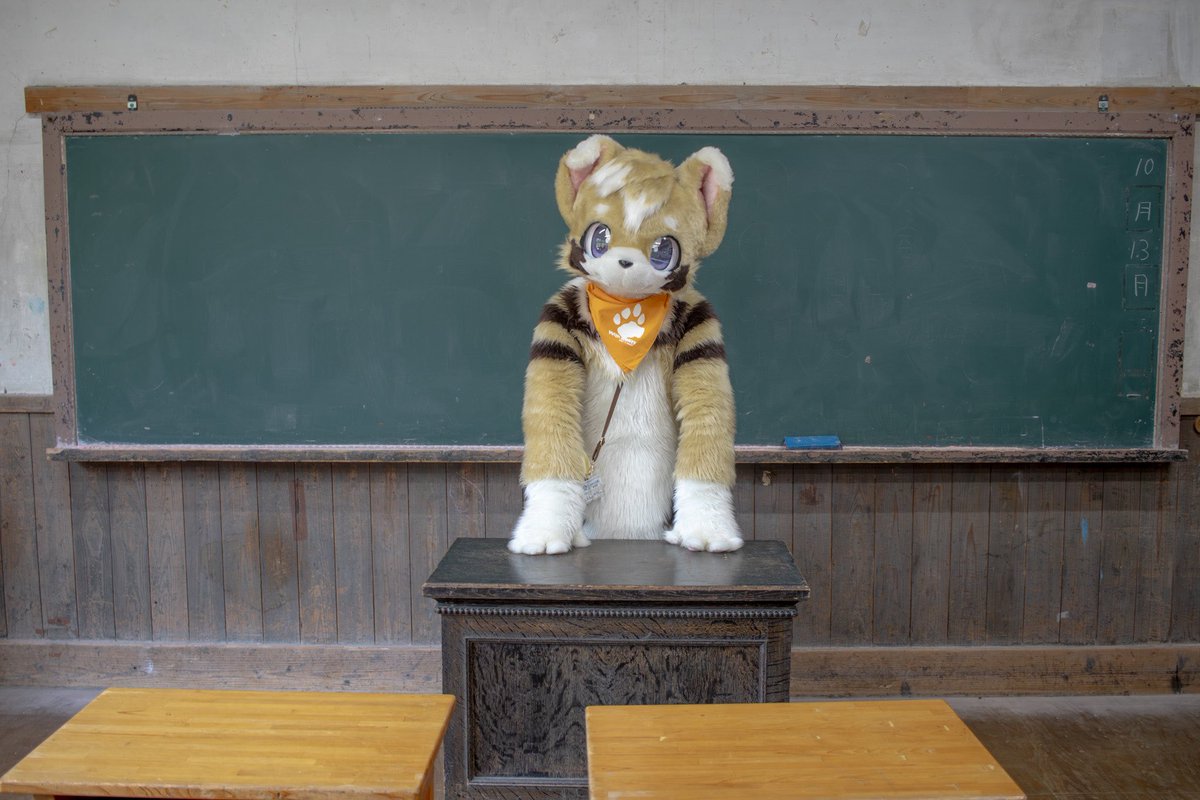 いぬのはし🐾 tweet media