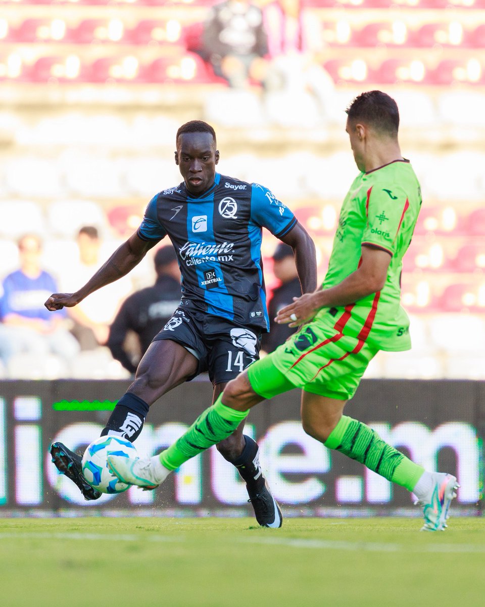 La Previa Del Gallo tweet media