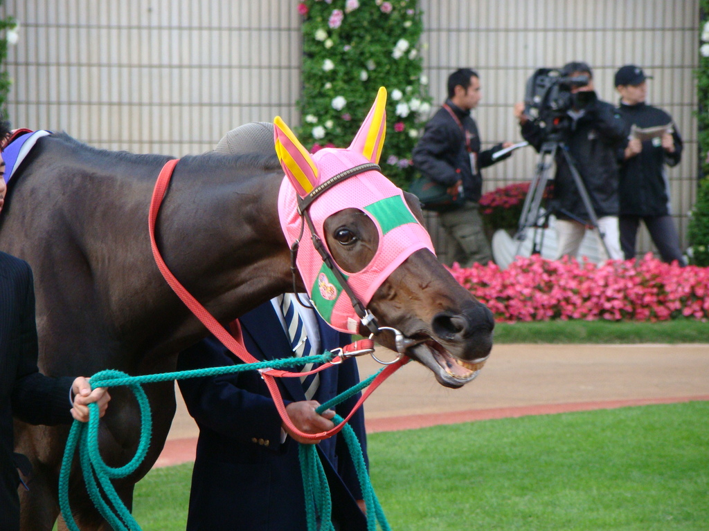 tanu ki@－２３さい年下の男の子👀💕 tweet media