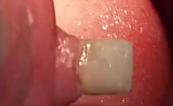 dutchiee ✈️ (@dutchiee_) on Twitter photo 