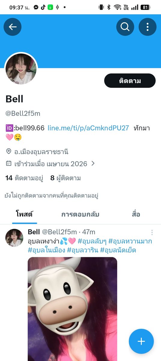 ดอกข้าวฟ่าง tweet media
