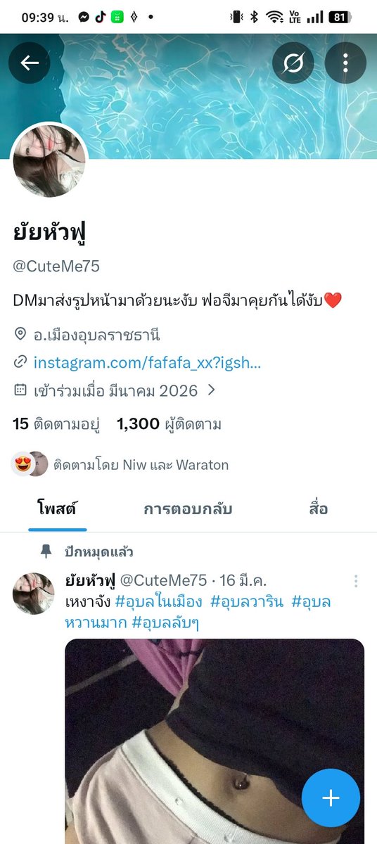 ดอกข้าวฟ่าง tweet media