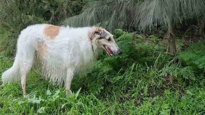 aidan 🎞️ tweet media