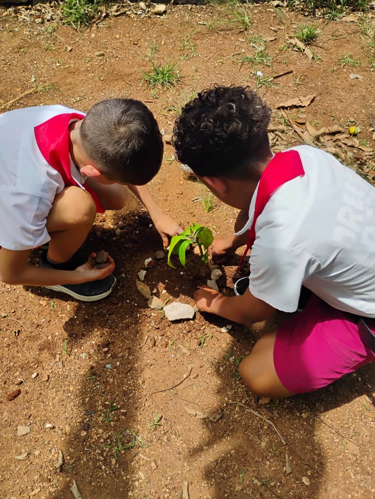 YaneisyO32304's tweet image. Plantar un árbol por nuestra Isla.
Sembrar un árbol en la tierra y en los corazones de nuestros retoños, los más beneficiados con un planeta sano y libre de contaminación. porque...Plantar un árbol es un acto de amor y también de responsabilidad.
#MatancerosEnVictoria