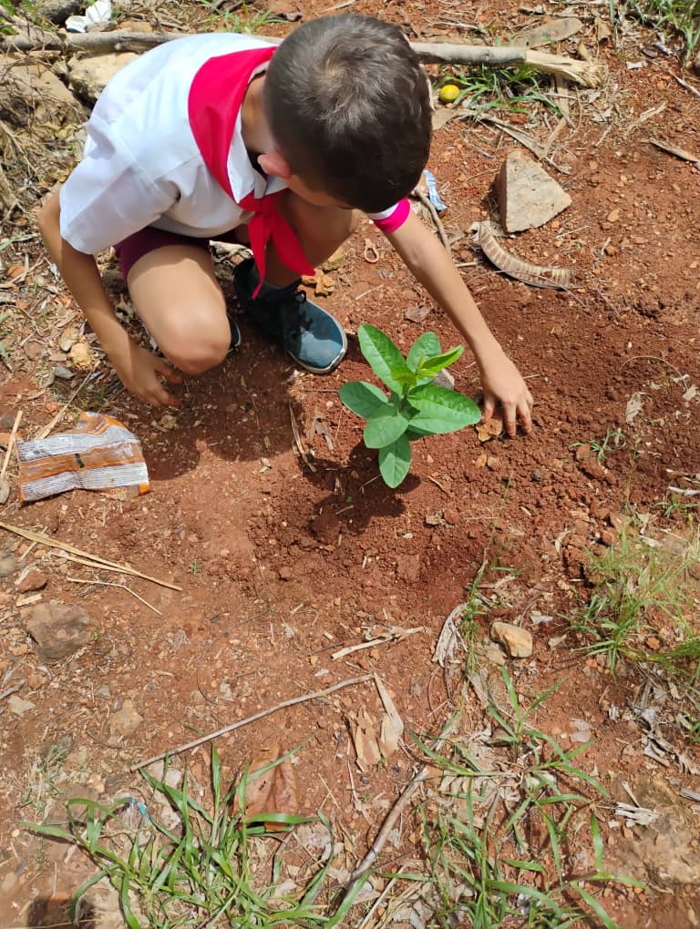 YaneisyO32304's tweet image. Plantar un árbol por nuestra Isla.
Sembrar un árbol en la tierra y en los corazones de nuestros retoños, los más beneficiados con un planeta sano y libre de contaminación. porque...Plantar un árbol es un acto de amor y también de responsabilidad.
#MatancerosEnVictoria