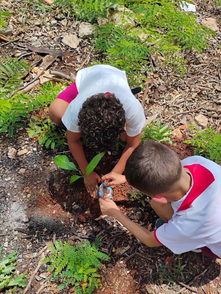 YaneisyO32304's tweet image. Plantar un árbol por nuestra Isla.
Sembrar un árbol en la tierra y en los corazones de nuestros retoños, los más beneficiados con un planeta sano y libre de contaminación. porque...Plantar un árbol es un acto de amor y también de responsabilidad.
#MatancerosEnVictoria