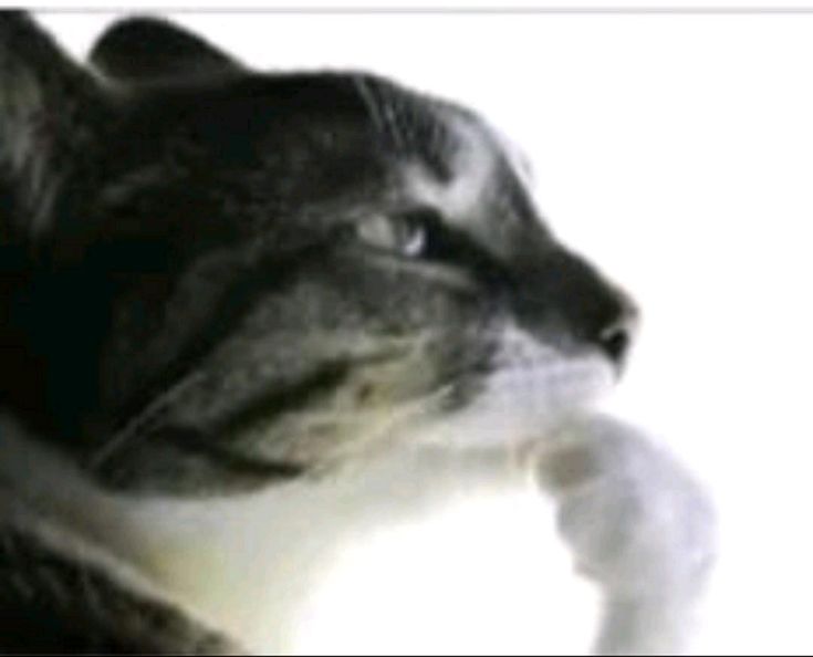 Valeen | 💤 tweet media