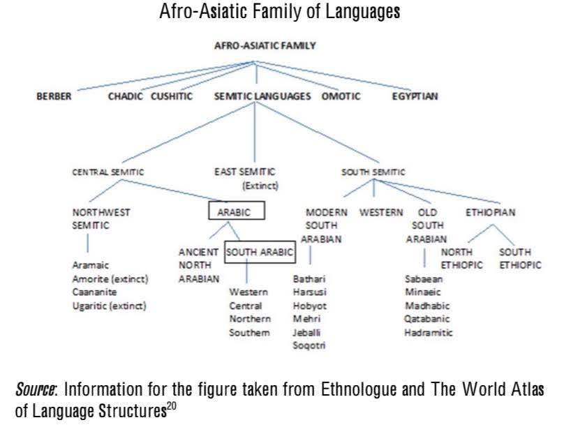 الشرادي tweet media
