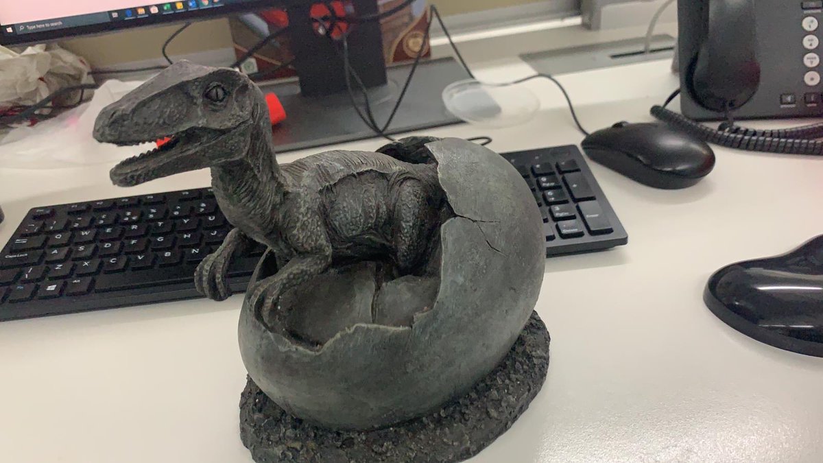lokbarith's tweet photo. Just wanted to post a cool decoration I have. No idea where it's from, it's heavy, but looks so cool!

It's a velociraptor hatchling statue!

#dino #Dinosaur #coolshit https://t.co/0qAlKsw1WB