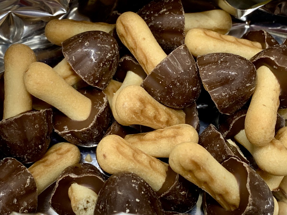 ＠もつ tweet media