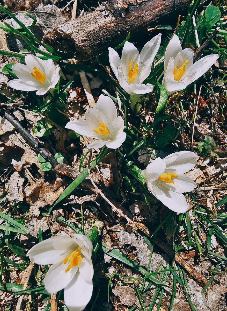 Stefania Lotty tweet media