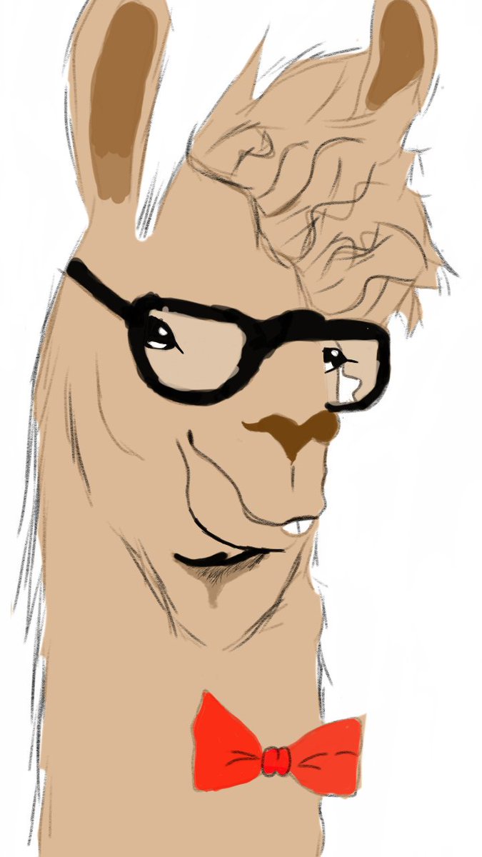 ZEKINHª tweet media